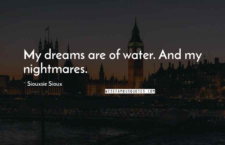 Siouxsie Sioux Quotes: My dreams are of water. And my nightmares.