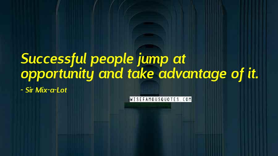 Sir Mix-a-Lot Quotes: Successful people jump at opportunity and take advantage of it.