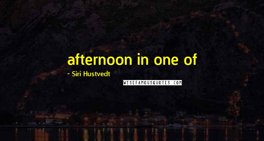 Siri Hustvedt Quotes: afternoon in one of