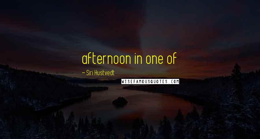 Siri Hustvedt Quotes: afternoon in one of