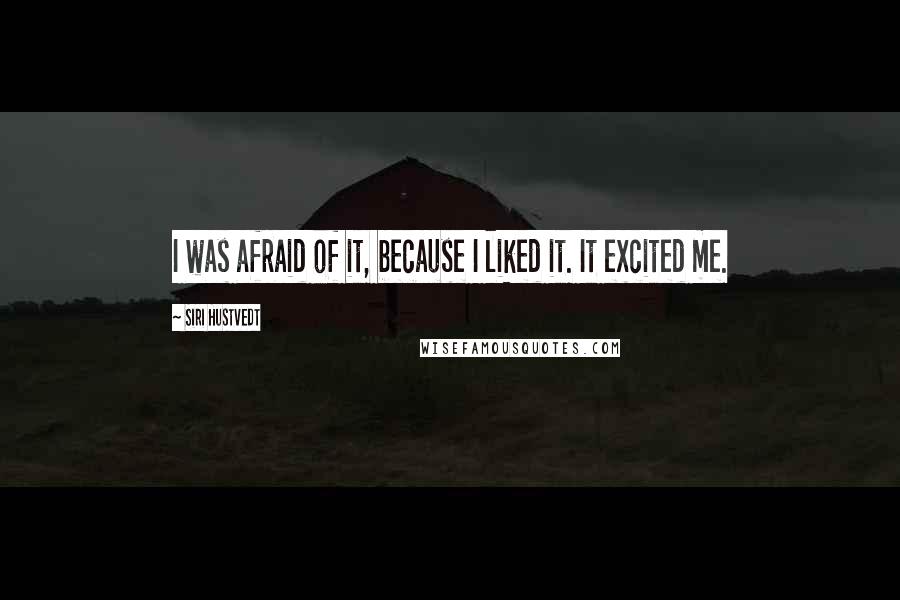 Siri Hustvedt Quotes: I was afraid of it, because I liked it. It excited me.