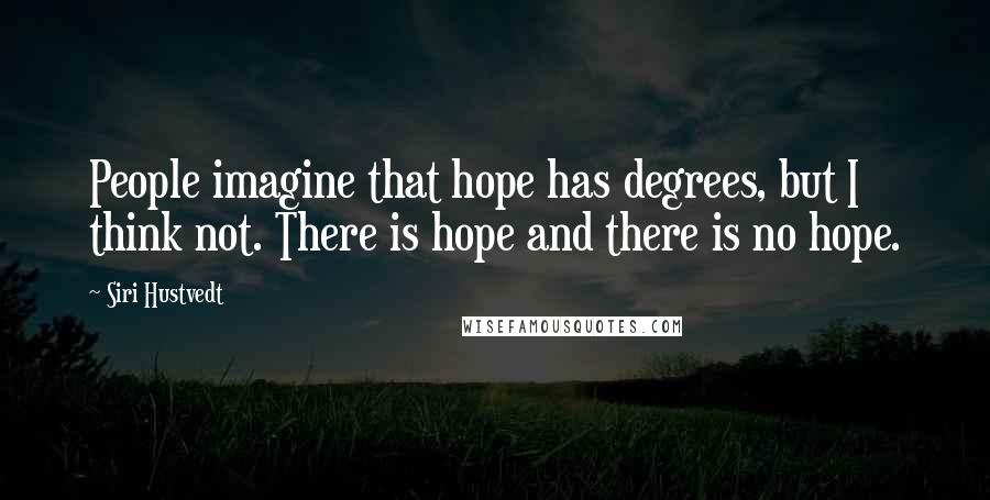 Siri Hustvedt Quotes: People imagine that hope has degrees, but I think not. There is hope and there is no hope.