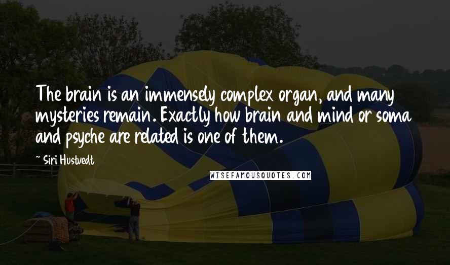 Siri Hustvedt Quotes: The brain is an immensely complex organ, and many mysteries remain. Exactly how brain and mind or soma and psyche are related is one of them.