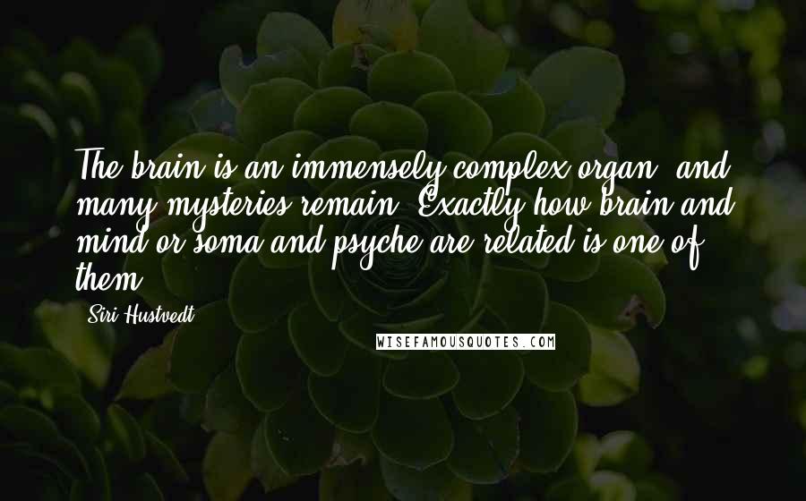 Siri Hustvedt Quotes: The brain is an immensely complex organ, and many mysteries remain. Exactly how brain and mind or soma and psyche are related is one of them.