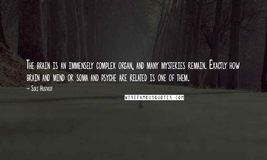 Siri Hustvedt Quotes: The brain is an immensely complex organ, and many mysteries remain. Exactly how brain and mind or soma and psyche are related is one of them.