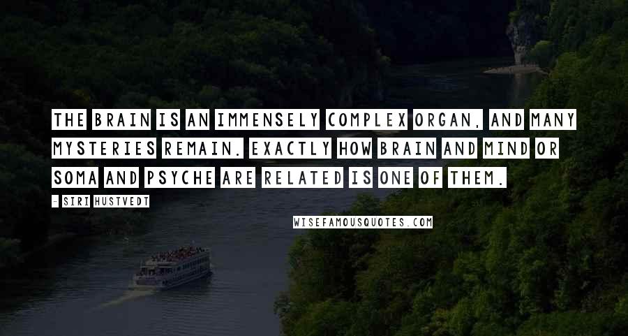 Siri Hustvedt Quotes: The brain is an immensely complex organ, and many mysteries remain. Exactly how brain and mind or soma and psyche are related is one of them.
