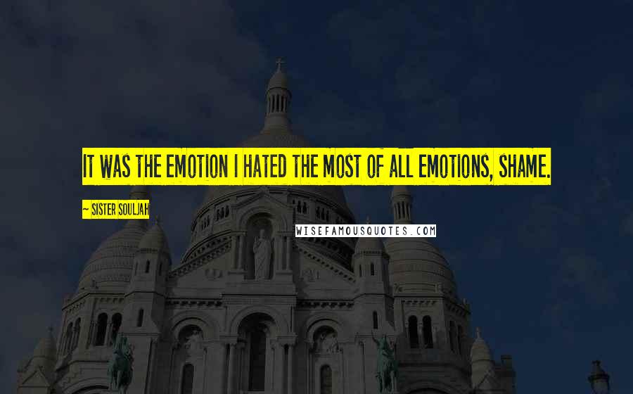 Sister Souljah Quotes: It was the emotion I hated the most of all emotions, shame.