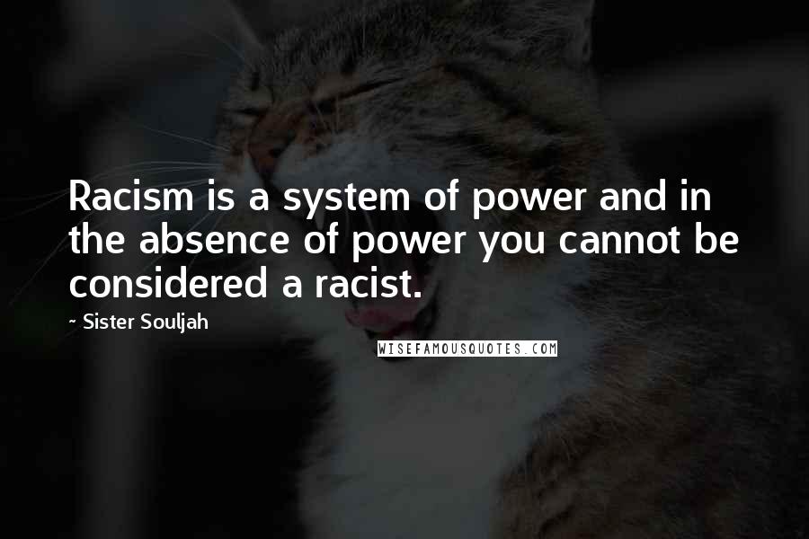 Sister Souljah Quotes: Racism is a system of power and in the absence of power you cannot be considered a racist.