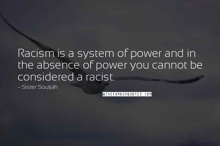 Sister Souljah Quotes: Racism is a system of power and in the absence of power you cannot be considered a racist.