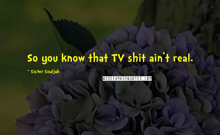 Sister Souljah Quotes: So you know that TV shit ain't real.