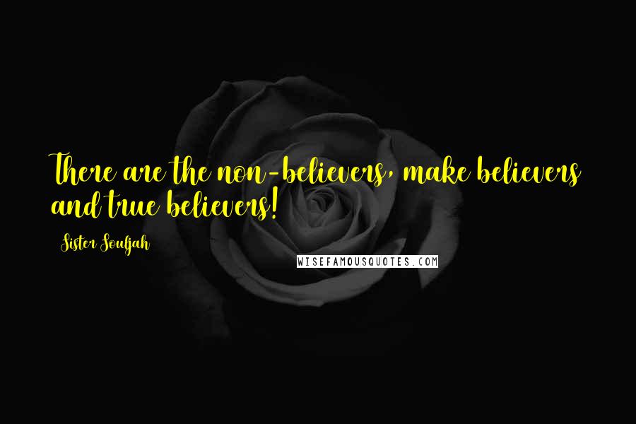 Sister Souljah Quotes: There are the non-believers, make believers and true believers!
