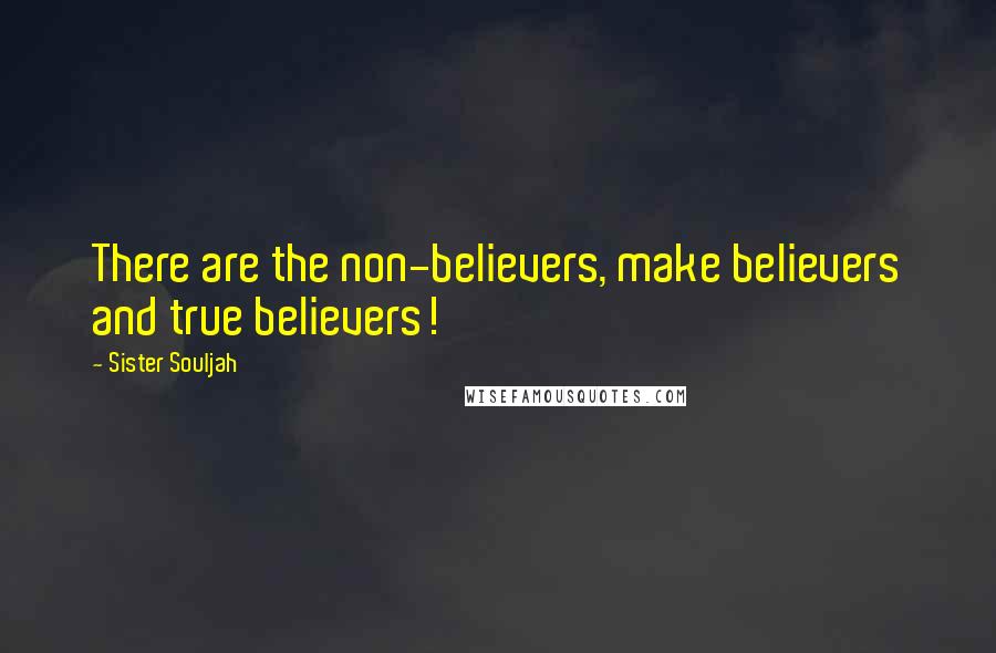 Sister Souljah Quotes: There are the non-believers, make believers and true believers!