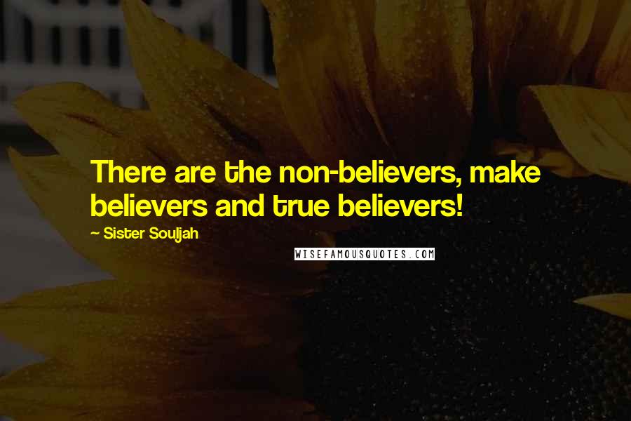 Sister Souljah Quotes: There are the non-believers, make believers and true believers!