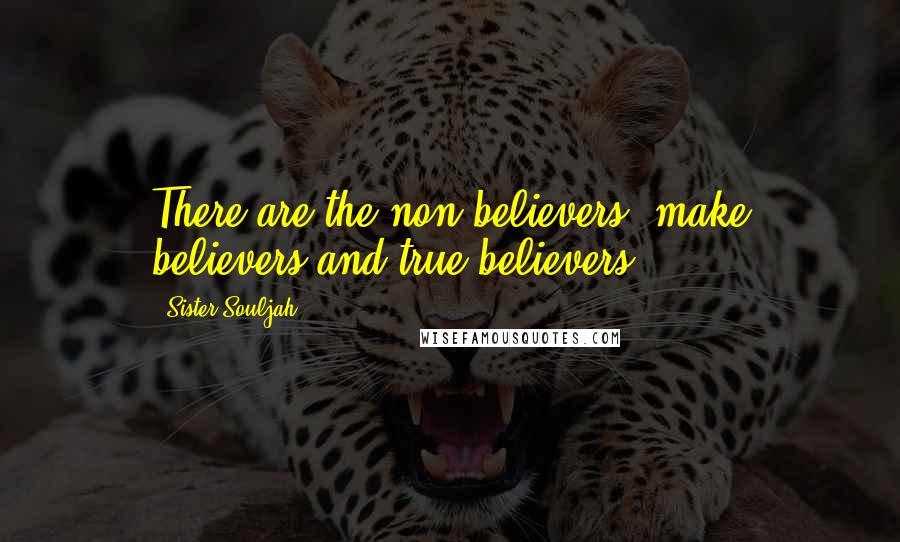 Sister Souljah Quotes: There are the non-believers, make believers and true believers!