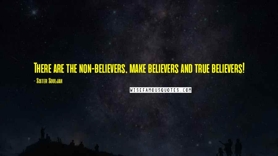 Sister Souljah Quotes: There are the non-believers, make believers and true believers!