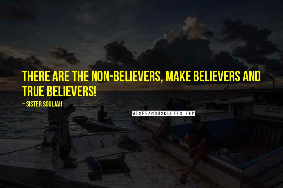 Sister Souljah Quotes: There are the non-believers, make believers and true believers!