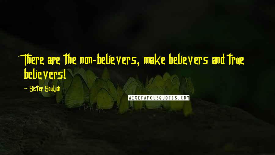 Sister Souljah Quotes: There are the non-believers, make believers and true believers!