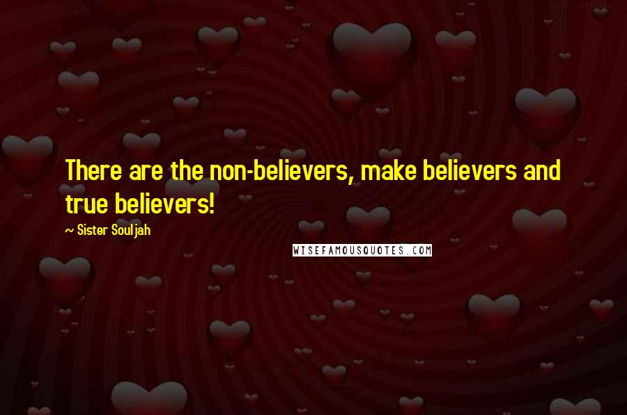 Sister Souljah Quotes: There are the non-believers, make believers and true believers!