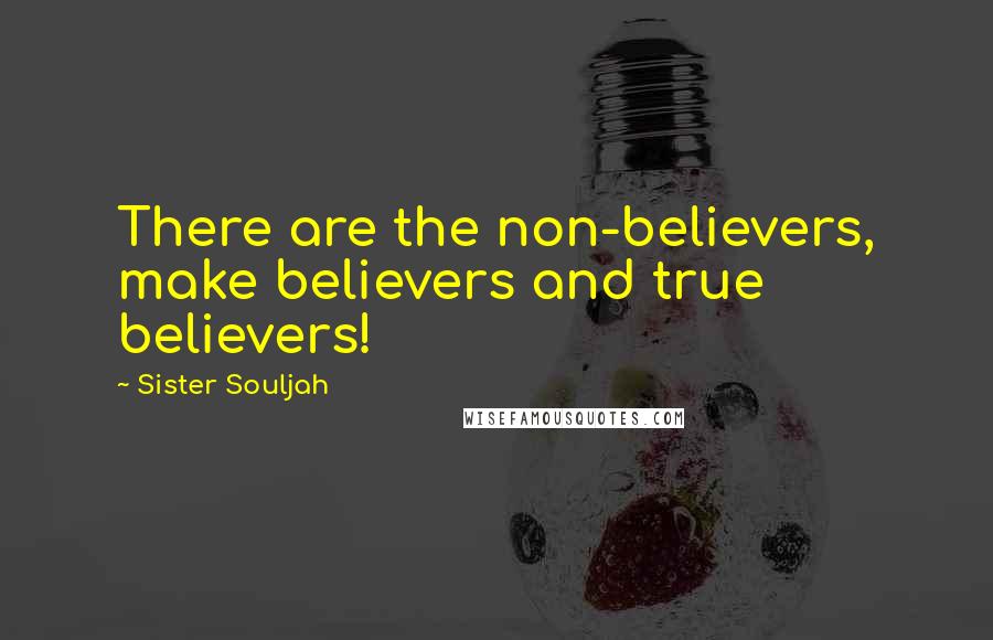 Sister Souljah Quotes: There are the non-believers, make believers and true believers!