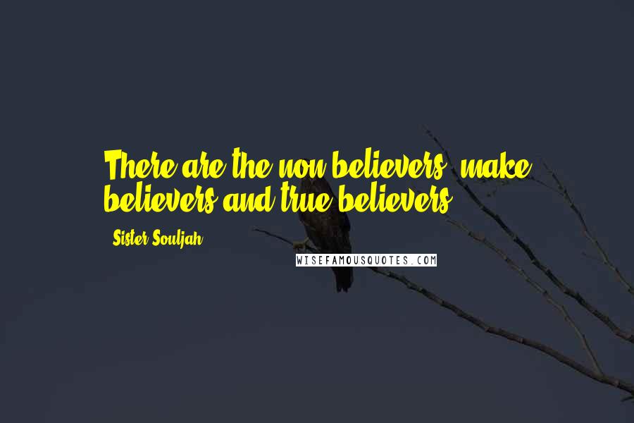 Sister Souljah Quotes: There are the non-believers, make believers and true believers!