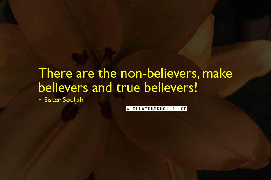 Sister Souljah Quotes: There are the non-believers, make believers and true believers!