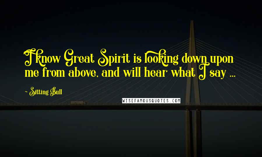 Sitting Bull Quotes: I know Great Spirit is looking down upon me from above, and will hear what I say ...