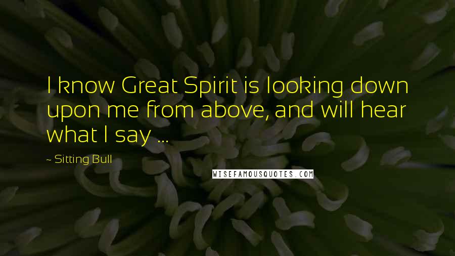 Sitting Bull Quotes: I know Great Spirit is looking down upon me from above, and will hear what I say ...