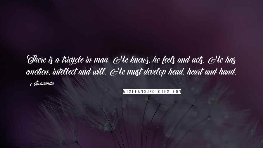 Sivananda Quotes: There is a tricycle in man. He knows, he feels and acts. He has emotion, intellect and will. He must develop head, heart and hand.