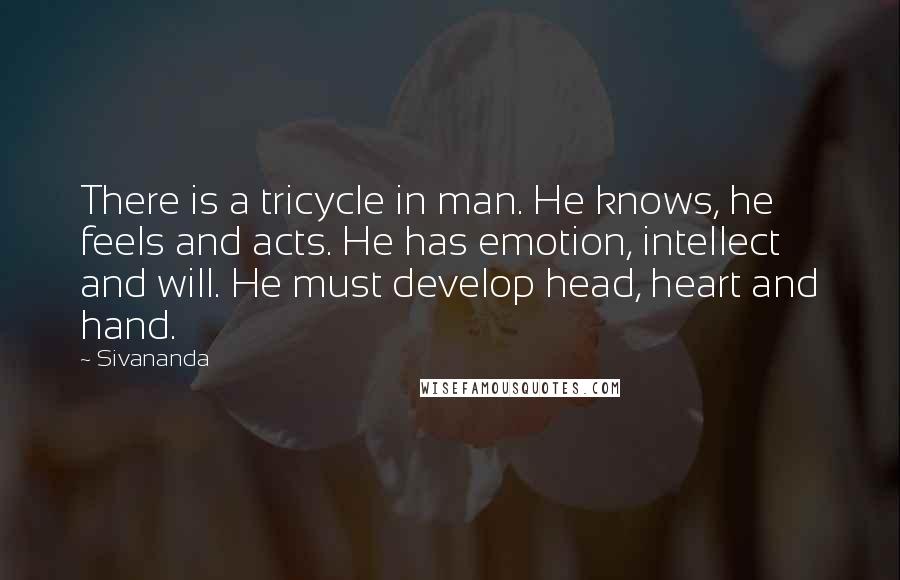 Sivananda Quotes: There is a tricycle in man. He knows, he feels and acts. He has emotion, intellect and will. He must develop head, heart and hand.