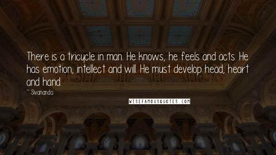 Sivananda Quotes: There is a tricycle in man. He knows, he feels and acts. He has emotion, intellect and will. He must develop head, heart and hand.