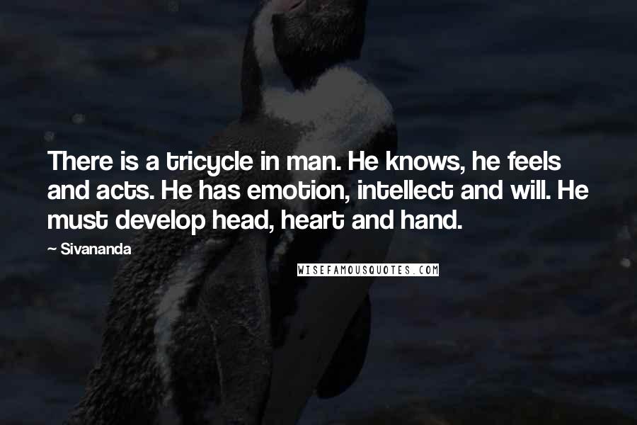 Sivananda Quotes: There is a tricycle in man. He knows, he feels and acts. He has emotion, intellect and will. He must develop head, heart and hand.