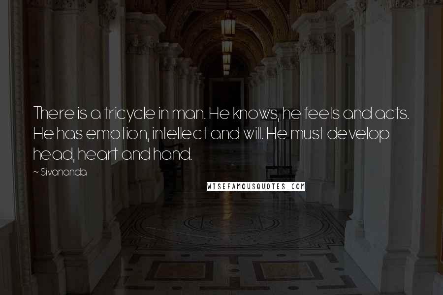 Sivananda Quotes: There is a tricycle in man. He knows, he feels and acts. He has emotion, intellect and will. He must develop head, heart and hand.