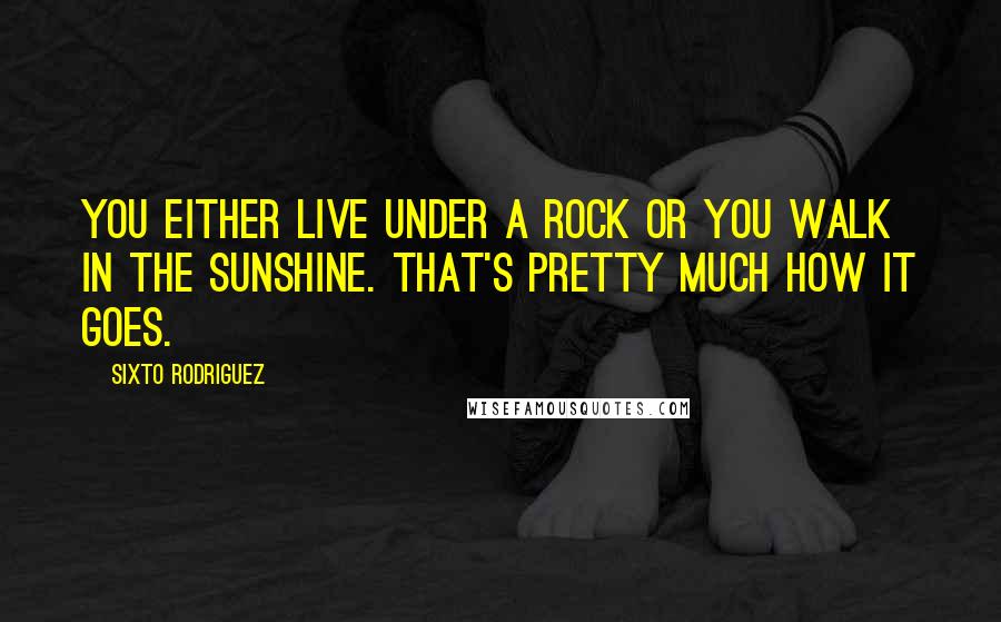 Sixto Rodriguez Quotes: You either live under a rock or you walk in the sunshine. That's pretty much how it goes.
