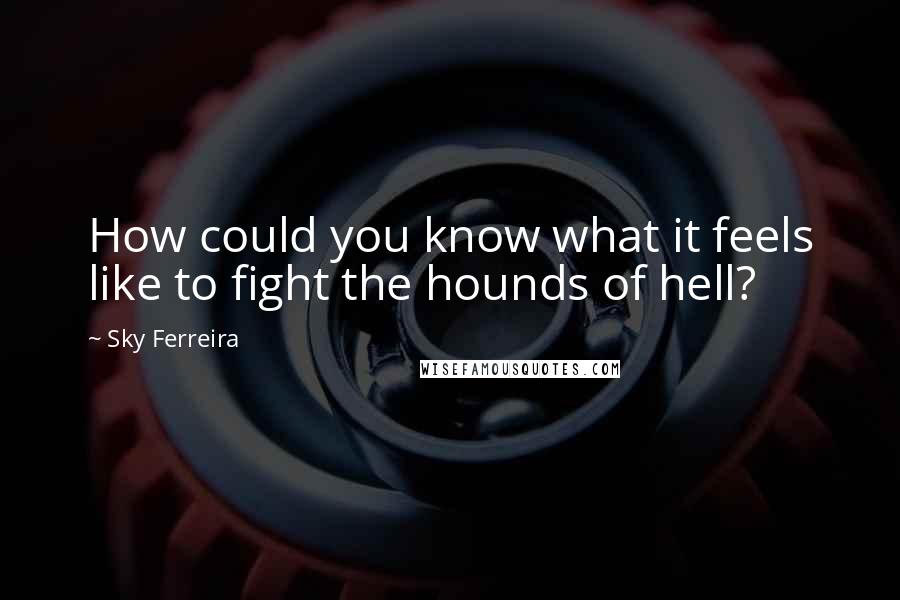 Sky Ferreira Quotes: How could you know what it feels like to fight the hounds of hell?