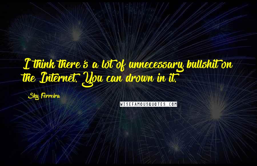 Sky Ferreira Quotes: I think there's a lot of unnecessary bullshit on the Internet. You can drown in it.