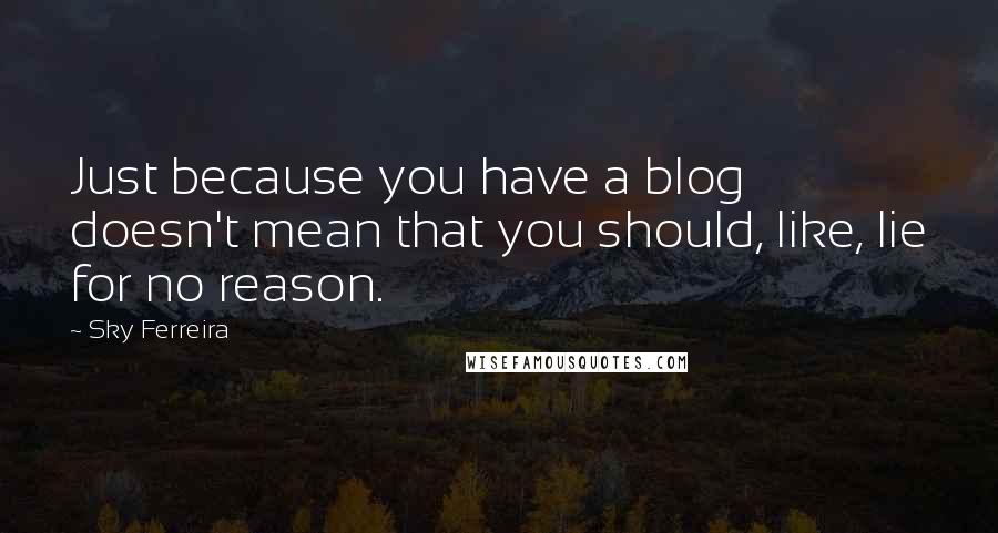 Sky Ferreira Quotes: Just because you have a blog doesn't mean that you should, like, lie for no reason.