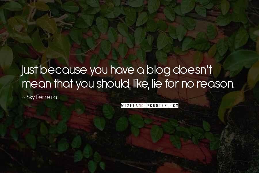 Sky Ferreira Quotes: Just because you have a blog doesn't mean that you should, like, lie for no reason.