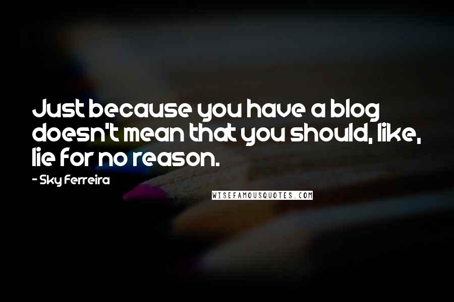 Sky Ferreira Quotes: Just because you have a blog doesn't mean that you should, like, lie for no reason.