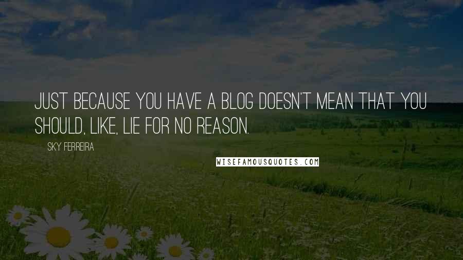 Sky Ferreira Quotes: Just because you have a blog doesn't mean that you should, like, lie for no reason.