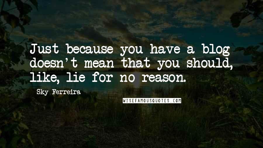 Sky Ferreira Quotes: Just because you have a blog doesn't mean that you should, like, lie for no reason.