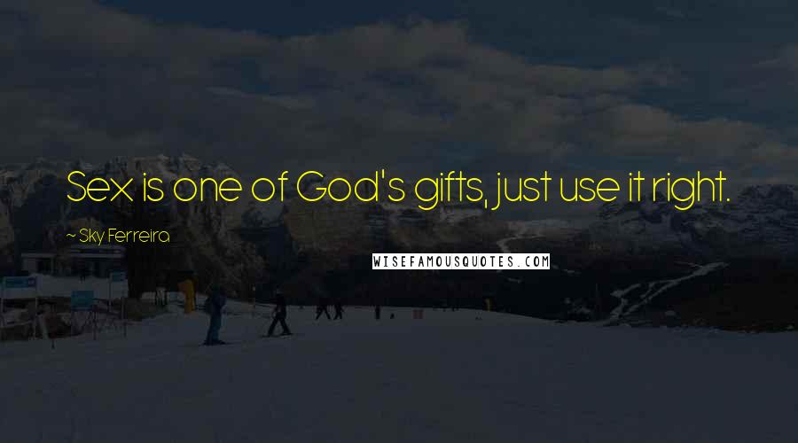 Sky Ferreira Quotes: Sex is one of God's gifts, just use it right.