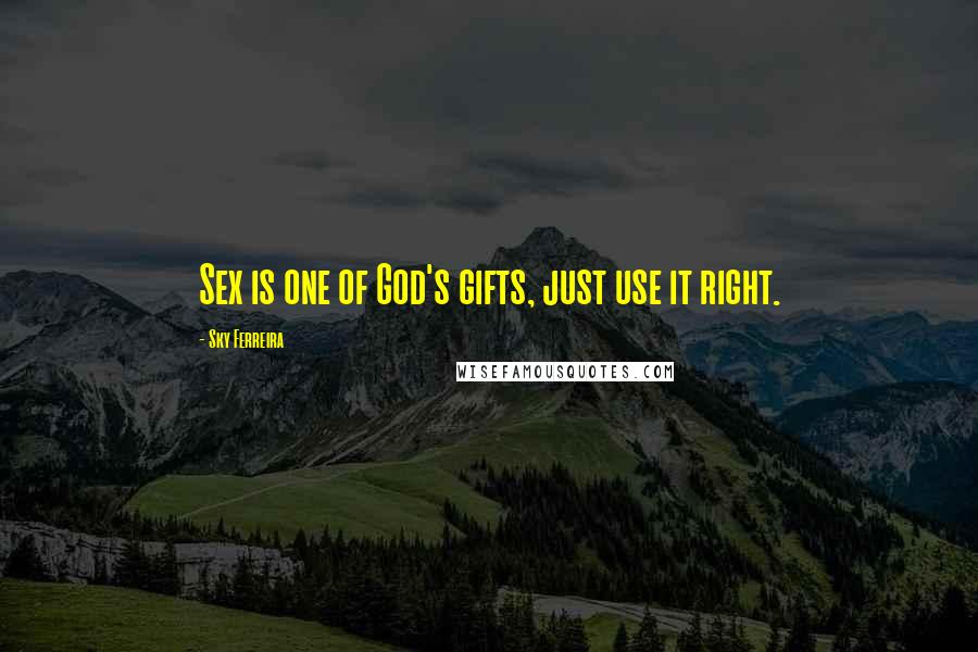 Sky Ferreira Quotes: Sex is one of God's gifts, just use it right.