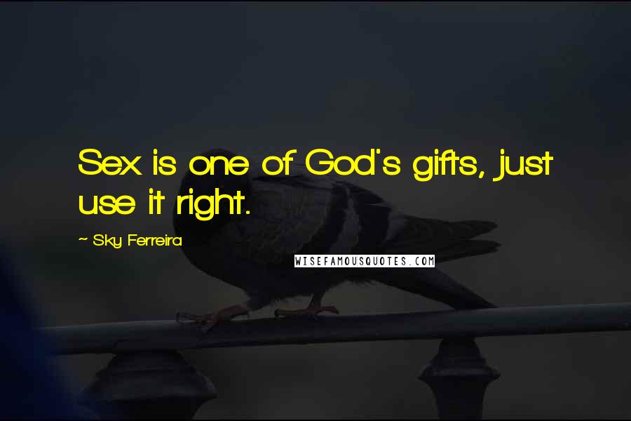 Sky Ferreira Quotes: Sex is one of God's gifts, just use it right.