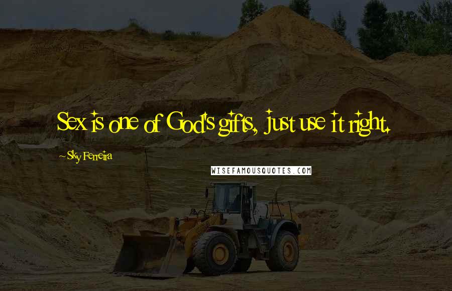 Sky Ferreira Quotes: Sex is one of God's gifts, just use it right.