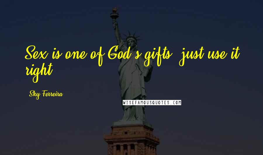 Sky Ferreira Quotes: Sex is one of God's gifts, just use it right.
