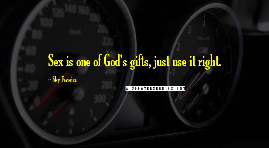 Sky Ferreira Quotes: Sex is one of God's gifts, just use it right.