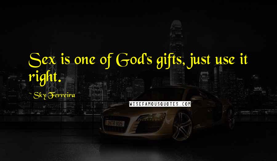 Sky Ferreira Quotes: Sex is one of God's gifts, just use it right.
