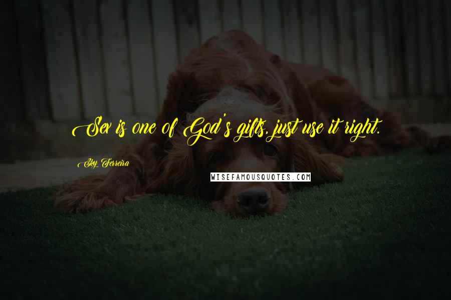 Sky Ferreira Quotes: Sex is one of God's gifts, just use it right.