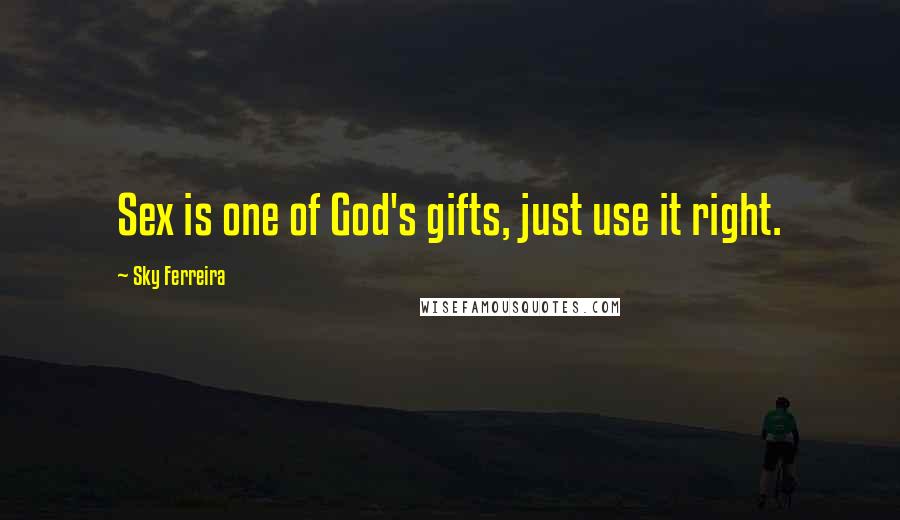 Sky Ferreira Quotes: Sex is one of God's gifts, just use it right.
