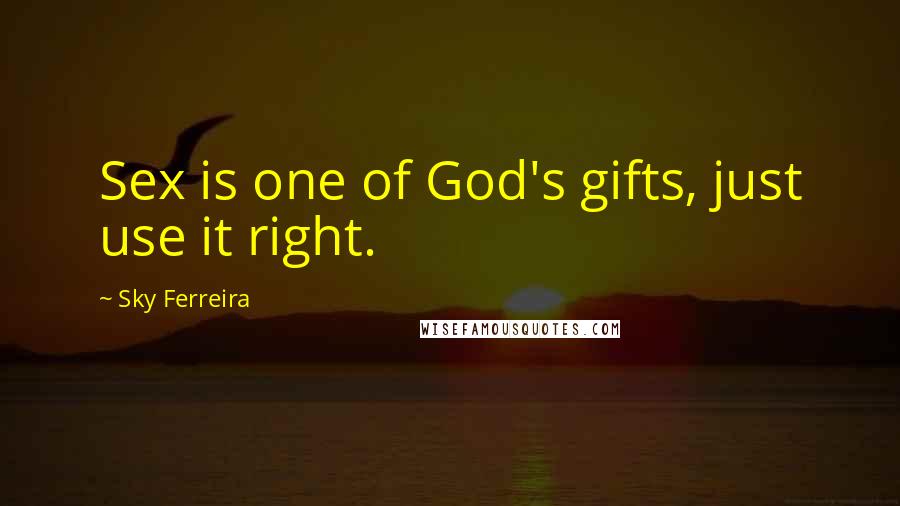 Sky Ferreira Quotes: Sex is one of God's gifts, just use it right.